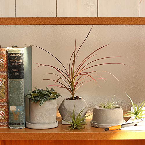 ファイバーセメントポット　Cornwall　コーンウォール Amazon.co.jp: ダルトン(Dulton) プランター セメント ポット S